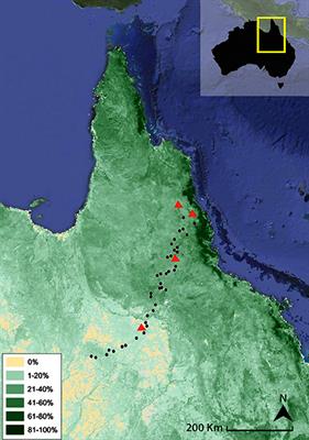 Preferential Production and Transport of Grass-Derived Pyrogenic Carbon in NE-Australian Savanna Ecosystems